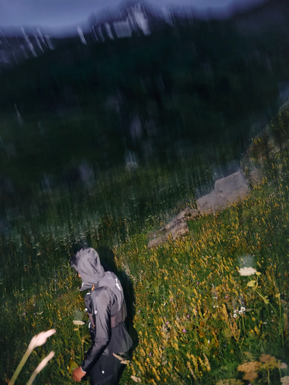 Hiker in dark rain gear walking through an alpine wildflower meadow